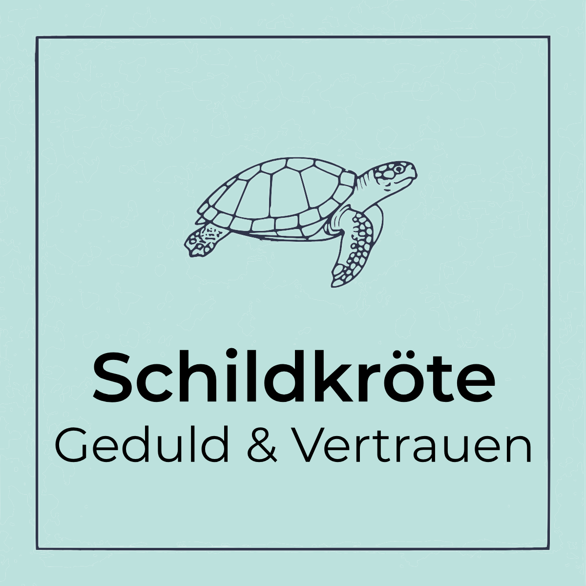 Schildkröte